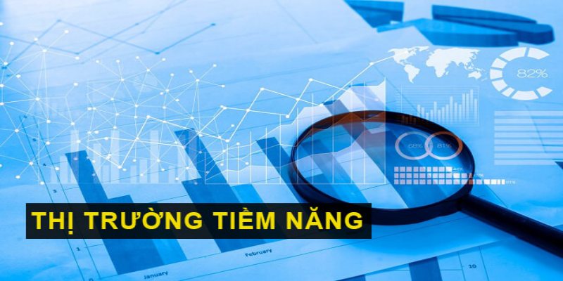 Thị trường lớn mạnh, tiềm năng